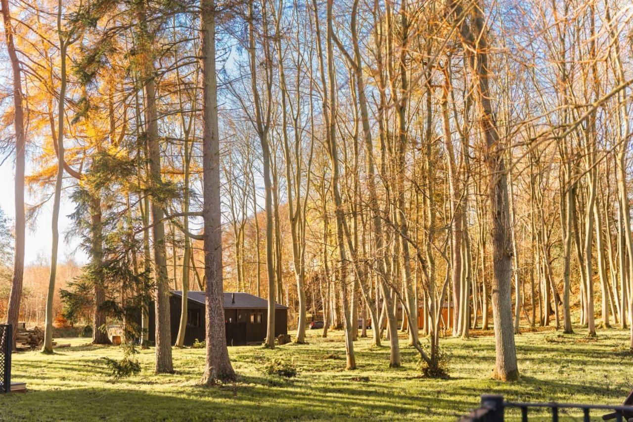 Riverside Cabins Σριούσμπερι Εξωτερικό φωτογραφία